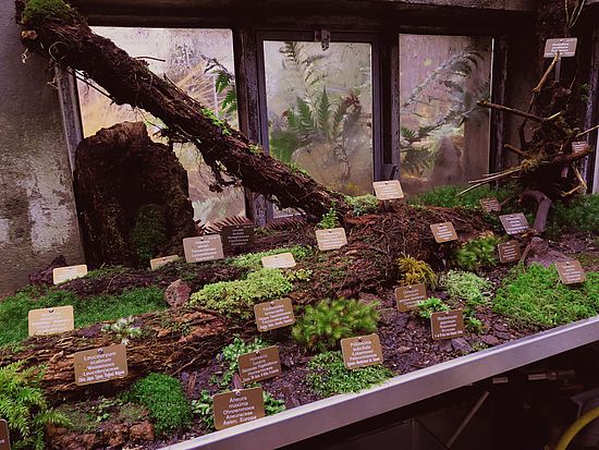 Das neugestaltete Mooshaus dsfdfs