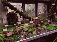 Das neugestaltete Mooshaus dsfdfs