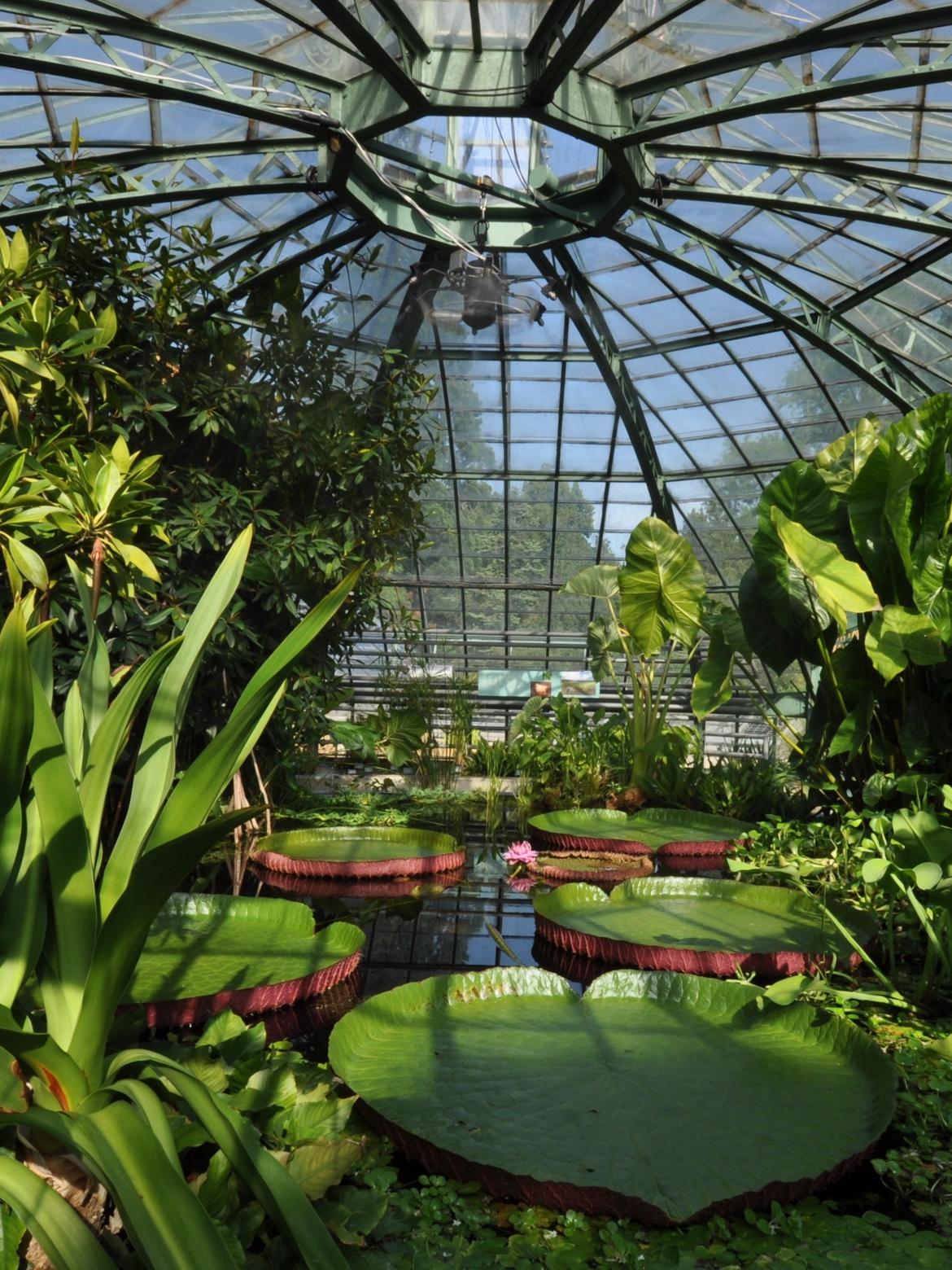 Home Botanischer Garten