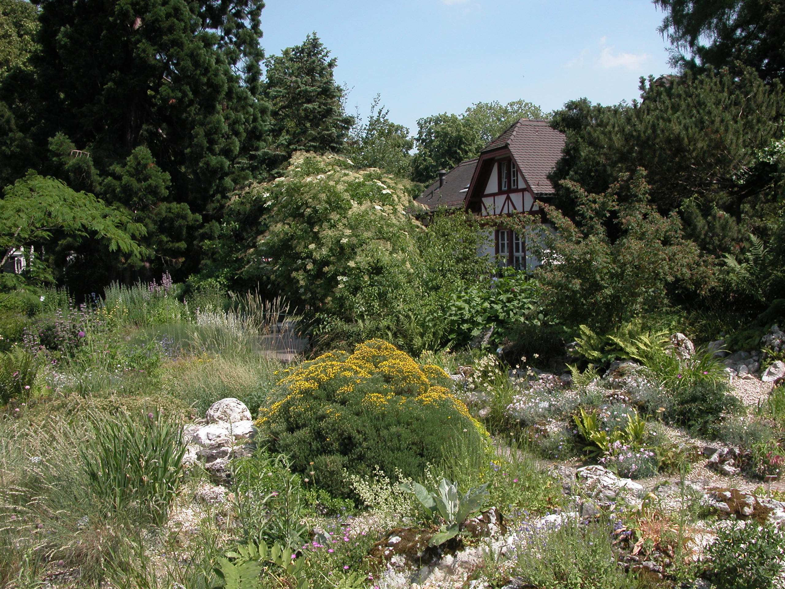Alpinum Botanischer Garten